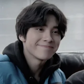 🧯 emoji hendery @APLAEPEIDI Telegram sticker 22 of 59