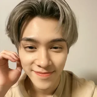 Sticker from ◡̈ hendery – @stickernct