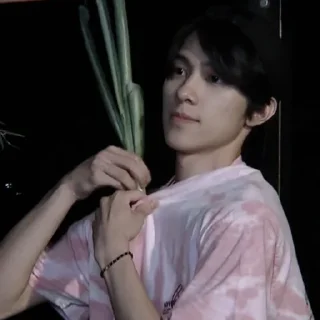 🧯 emoji hendery @APLAEPEIDI Telegram sticker 15 of 59