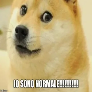 🤪 emoji doeg @cornfarmerbackup Telegram sticker 20 of 94