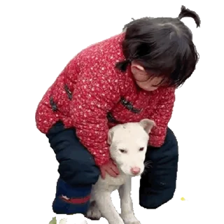 🦌 emoji 贵州大洋芋 @baobei520000 Telegram sticker 12 of 50