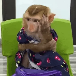 🐵 emoji 吗喽表情包 @Katak66 Telegram sticker 9 of 50