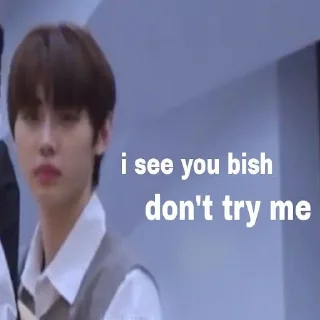Sticker from Enhypen Sunghoon Memes