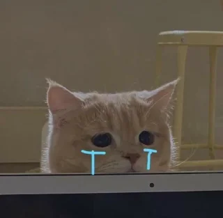 😢 emoji Cutecat (stickers) @Yukyung Telegram sticker 7 of 27