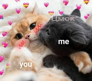 🥺 emoji Cutecat (stickers) @Yukyung Telegram sticker 18 of 27