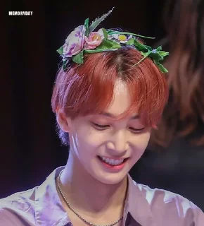 😄 emoji Jeonghan Telegram sticker 20 of 20