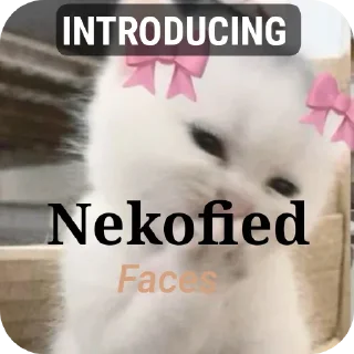 🐱 emoji Nekofied Telegram sticker 1 of 47