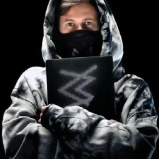 Sticker from Alan Walker