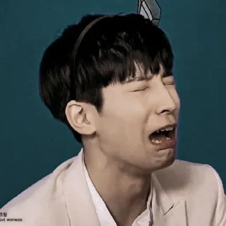 💣 emoji wonwoo ⌇ @willhelpyou Telegram sticker 6 of 68