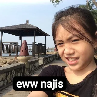 🌟 emoji michie jeketi @stikergifjkt48 Telegram sticker 11 of 14