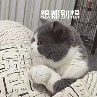 😆 emoji 精神小伙欢乐多 Telegram sticker 23 of 120
