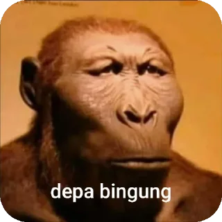 Sticker from monyet vi