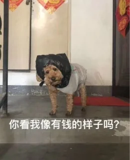 🤣 emoji 乌拉@ovoIII Telegram sticker 8 of 89