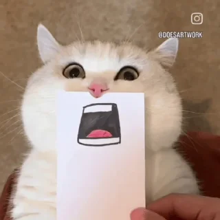 😀 emoji ✨Cats 😺 Telegram sticker 5 of 11