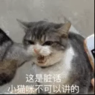 🤬 emoji 叮当的动态表情包 Telegram sticker 22 of 29