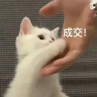 😳 emoji 粉丝麻袋装小樱 Telegram sticker 7 of 58