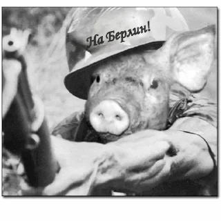 🐷 emoji Червона чума Telegram sticker 13 of 78