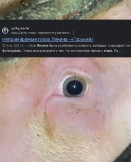 👁 emoji Червона чума Telegram sticker 22 of 78