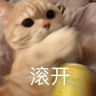 😡 emoji 小网警的喵喵 Telegram sticker 12 of 78