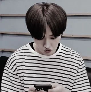 ⚓️ emoji LEE KNOW ꞋꞌꞋ┼╌ׄ @PARTNERMU Telegram sticker 21 of 50
