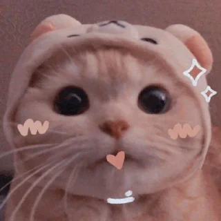 🙂 emoji Cute cats Telegram sticker 10 of 48