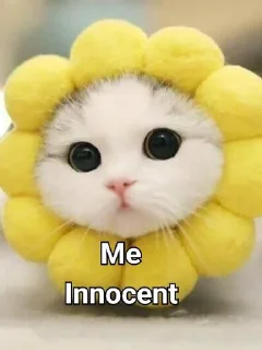 😊 emoji Cute cats Telegram sticker 22 of 48