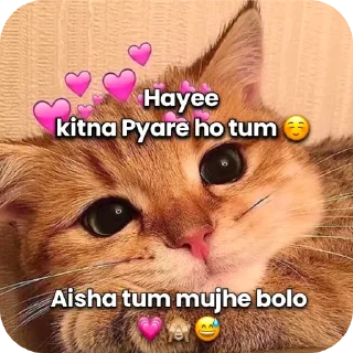 🐱 emoji Piyush Telegram sticker 10 of 65