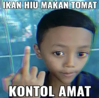 🖕 emoji @Lovafyuu mks Telegram sticker 17 of 120