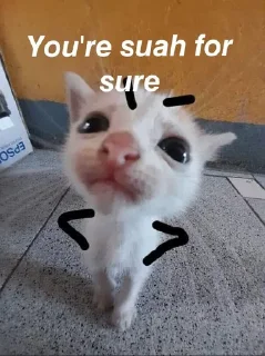 Sticker from 𝙊𝙡𝙞𝙫𝙞𝙖'𝙨 𝙛𝙠𝙞𝙣𝙡𝙤𝙡 𝙥𝙖𝙘𝙠