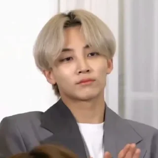 🌿 emoji paduka jeonghan Telegram sticker 15 of 72