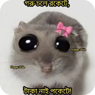 🐱 emoji Somik's Stickers World Telegram sticker 15 of 17
