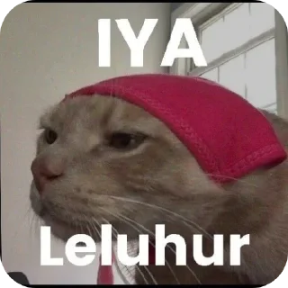 🐱 emoji random nyet Telegram sticker 13 of 104