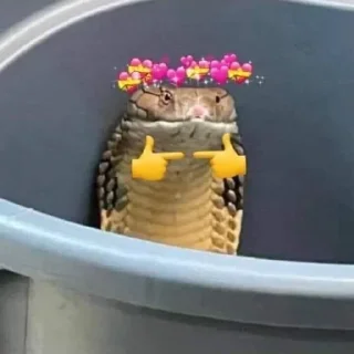 🐍 emoji MemeXPro : The Origin Telegram sticker 12 of 120