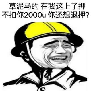 🥲 emoji 缘如水/僵尸粉/在线粉/强拉/会员代开/飞机号/ @qqqqqm Telegram sticker 11 of 31