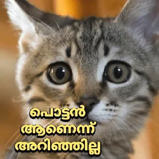🤣 emoji Noob Telegram sticker 6 of 64