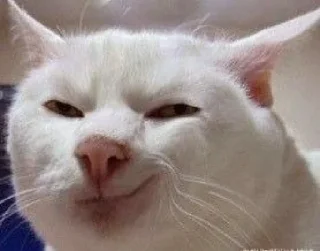 😏 emoji Serious cat by Dka Telegram sticker 7 of 10
