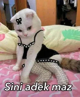 🫶 emoji nih punya gweh @juppiez Telegram sticker 3 of 17