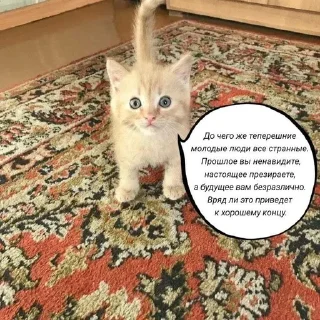 🌟 emoji и чья это вина Telegram sticker 5 of 69