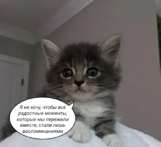 🌟 emoji и чья это вина Telegram sticker 14 of 69