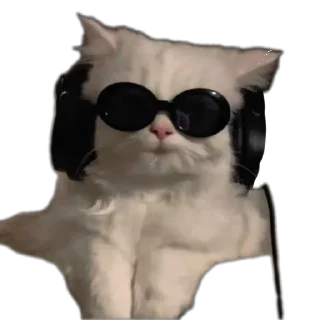 😎 emoji Meme Pack Telegram sticker 6 of 30