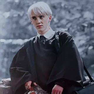 ❤️ emoji Draco malfoy Telegram sticker 8 of 11