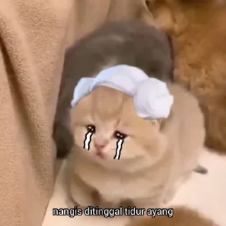 😭 emoji 🙏🏻 Telegram sticker 11 of 91