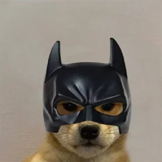 🦇 emoji DOG WIF HAT Telegram sticker 24 of 120
