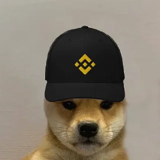 🤑 emoji DOG WIF HAT Telegram sticker 8 of 120
