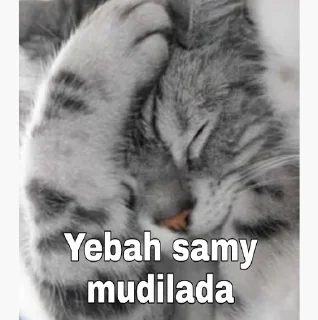 🤦‍♀️ emoji Jeevas kang pack Telegram sticker 10 of 119