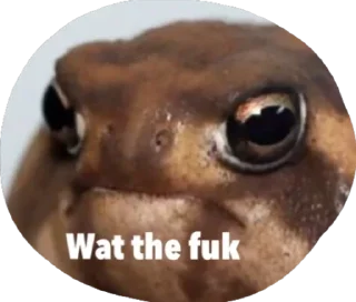 😑 emoji Retarded froggos Telegram sticker 20 of 20