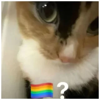 🏳️‍🌈 emoji 🏳️‍🌈 Telegram sticker 11 of 52