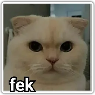 😐 emoji @UserName_illa_nokan vol.9 Telegram sticker 2 of 43