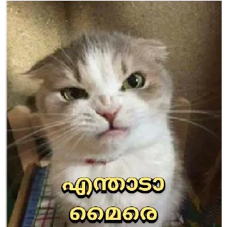 😂 emoji @UserName_illa_nokan vol.9 Telegram sticker 24 of 43