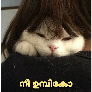 😂 emoji @UserName_illa_nokan vol.9 Telegram sticker 22 of 43